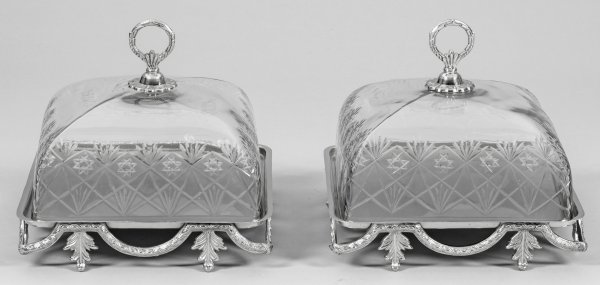 Paar Tortenplatten mit Glashauben