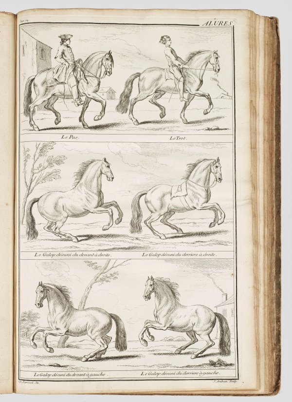 François Robichon de la Guérinière: École de Cavalerie,