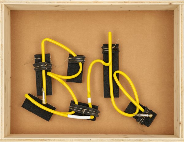 Anne-Julie Raccoursier